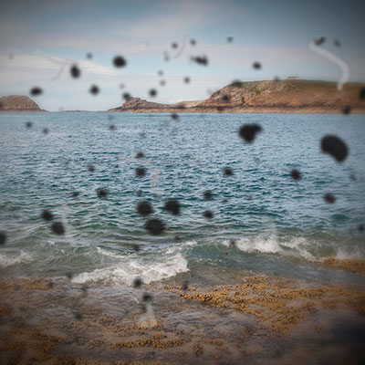 manchas o filamentos que se mueven con la visión