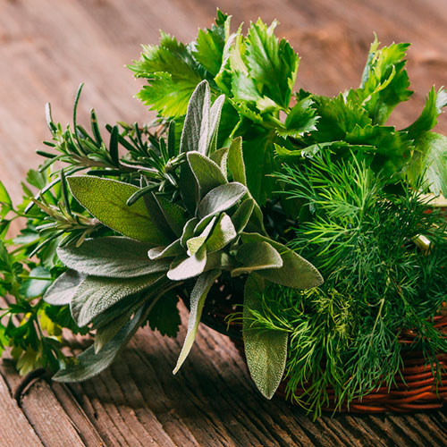 Alimentos principales de la dieta nórdica: hierbas y especias locales