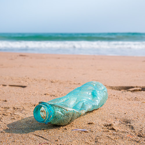 Recoger la basura de la playa