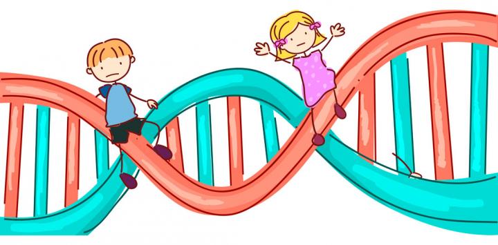 El Autismo Se Debe Mucho Mas A La Genetica Que A Factores Ambientales