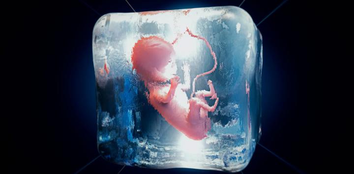 condensador Gran cantidad de Conmoción Más riesgo de cáncer en los niños que nacen de embriones congelados