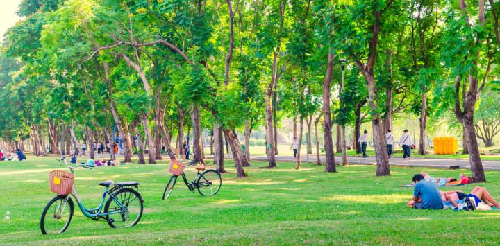 Los parques juegan un papel esencial en el bienestar de las personas