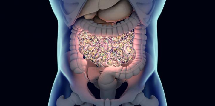 El microbioma intestinal, implicado en la esclerosis múltiple