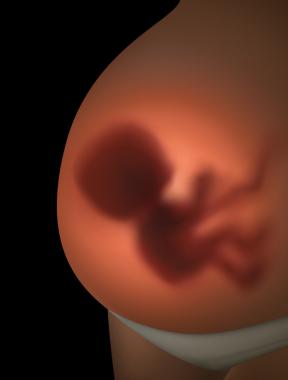 Sufrimiento fetal: causas, riesgos y cómo detectarlo 