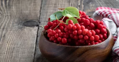 Bol con bayas de schisandra