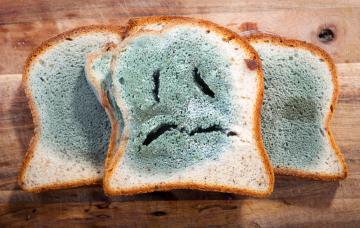 Alimentos con moho, ¿debo tirarlos? Rebanadas de pan de molde cubiertas de moho verde