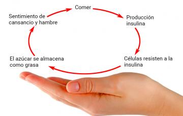 Causas de la resistencia a la insulina Causas de la resistencia a la insulina