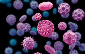 Causas de la sarcoidosis Causas de la sarcoidosis