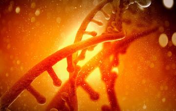 Causas del síndrome de Lynch Causas genéticas del síndrome de Lynch