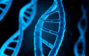 Causas y factores de riesgo de la alergia