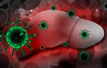 Causas de la insuficiencia hepática