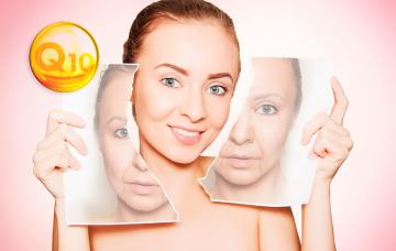 Coenzima Q10, la molécula antiaging Coenzima Q10