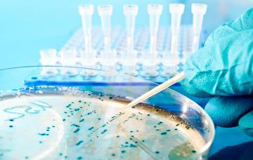 Diagnóstico de la leishmaniasis Diagnóstico de la leishmaniasis