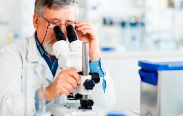 Diagnóstico de la lepra Diagnóstico de la lepra en el laboratorio