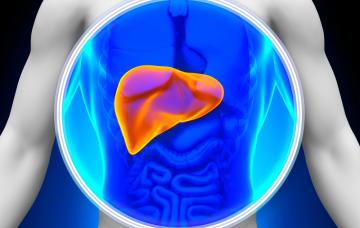 ¿Cómo y cuándo se manifiesta la Enfermedad de Wilson? ¿Cómo y cuándo se manifiesta la Enfermedad de Wilson?