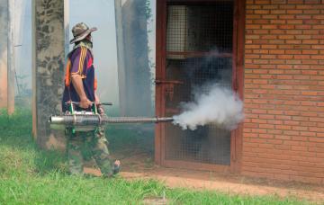 Prevención de la enfermedad de Chagas Fumigación para prevenir el Chagas