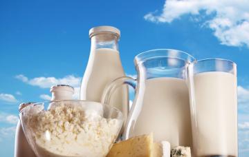 Alimentos para la prevención de la osteoporosis