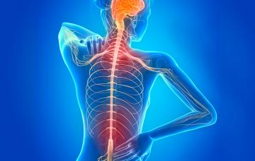 Síntomas de la esclerosis múltiple