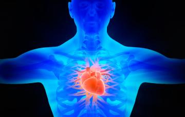 Tipos de angina de pecho