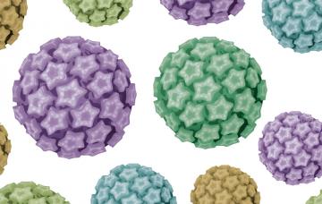 Causas y formas de transmisión del VPH