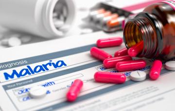 Tratamiento de la malaria Imagen concepto del tratamiento de la malaria o paludismo