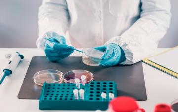 Diagnóstico de la fiebre del valle del Rift