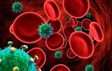 Virus Inmunodeficiencia Humana (VIH) al microscopio