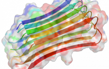 Alteraciones genéticas en el alzhéimer Factores de riesgo del alzhéimer