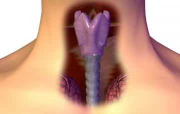 Diagnóstico del cáncer de laringe