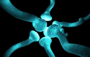 Causas de la fibromialgia