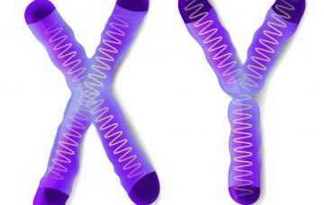 Causas de la hemofilia