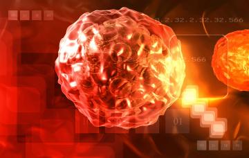 Causas de la poliomielitis