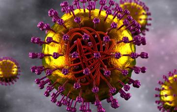 Causas del sarampión