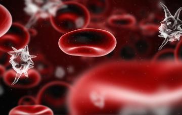 Diagnóstico de la sepsis