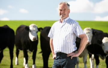Un hombre en el campo junto a sus vacas