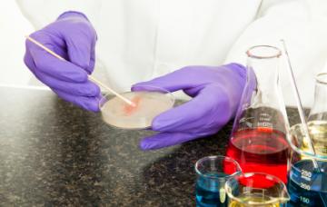 Diagnóstico de la brucelosis en el laboratorio