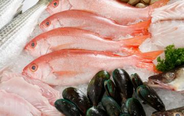 Pescado rico en omega 3 Ácidos grasos omega 3