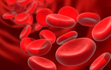 Anemia o disminución de la concentración de hemoglobina en la sangre