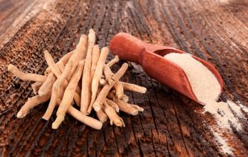 Ashwagandha, el revitalizante indio Ashwagandha