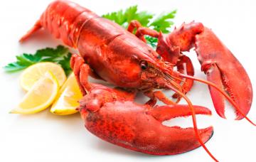 Marisco, cómo comprarlo Bogavante