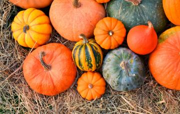 Calabaza, ligera y nutritiva