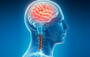 Ilustración del cáncer de cabeza y cuello