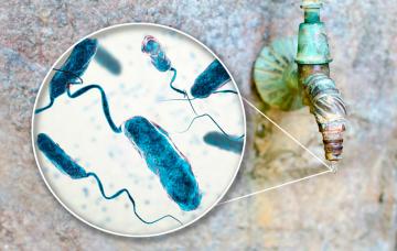 Cólera, la epidemia de los desfavorecidos Cólera