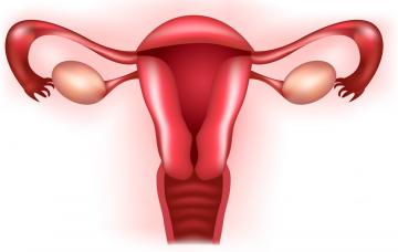 Incompetencia cervical, qué es y causas Incompetencia cervical