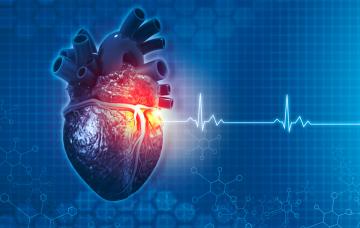 Qué es la insuficiencia mitral Qué es la insuficiencia mitral