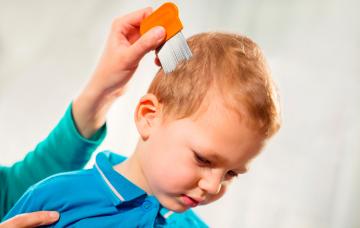 Cómo eliminar los piojos Niño con piojos