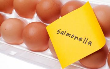 Infección por Salmonella