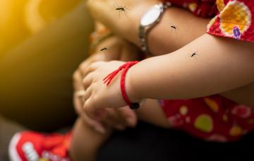 Infección por el Virus del Nilo