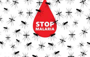 Malaria