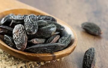 Haba tonka: usos y riesgos de esta semilla aromática Haba tonka